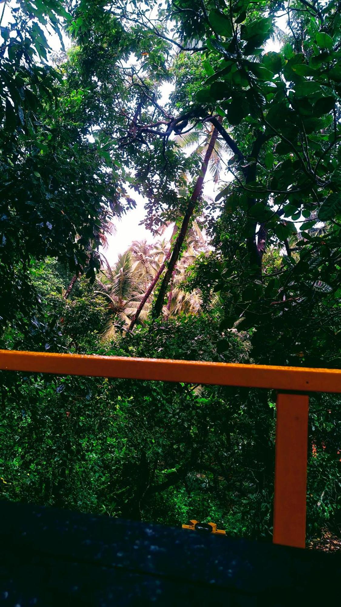 Samyama Retreat Otel Cola Dış mekan fotoğraf