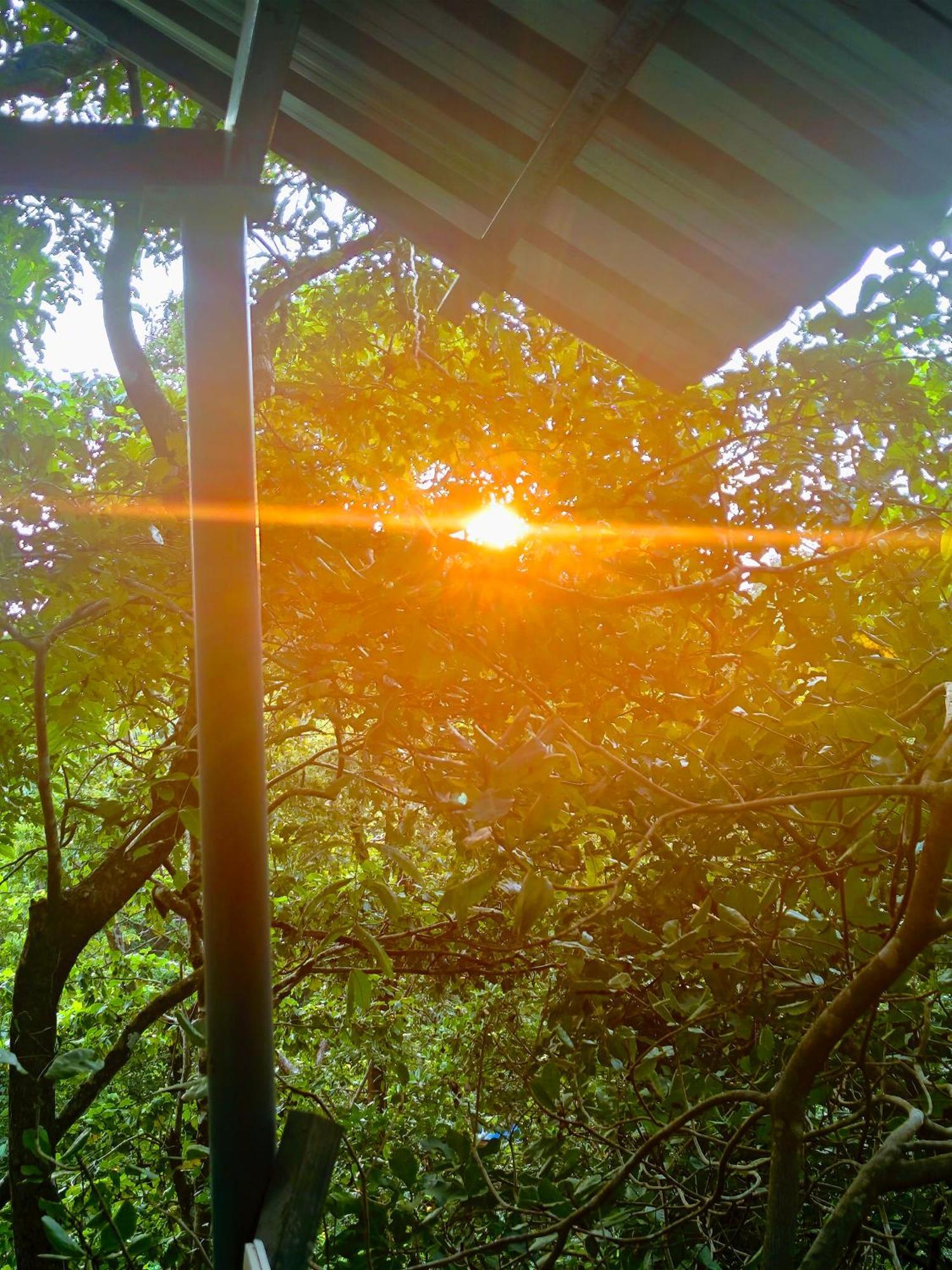 Samyama Retreat Otel Cola Dış mekan fotoğraf